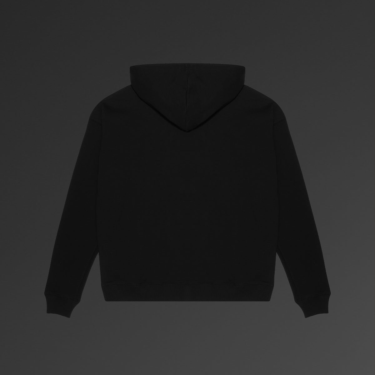 HEAVY HOODIE
