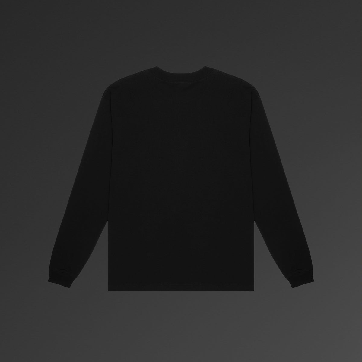 HEAVY LONGSLEEVE
